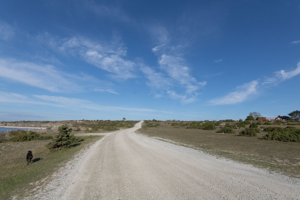Straße auf Öland