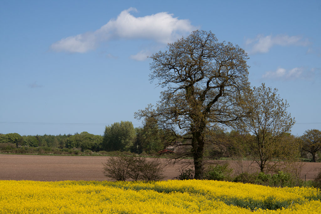 Im Frühjahr an der Schlei