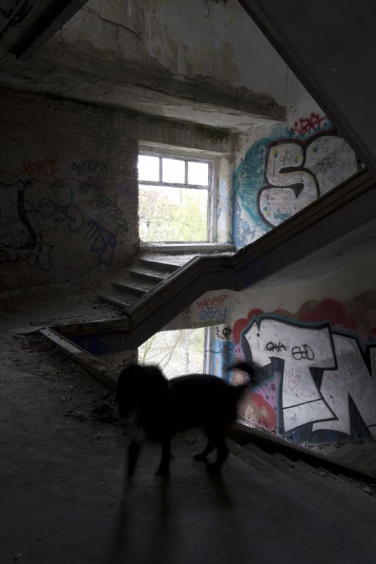Die Kasernen in Döberitz (2017)