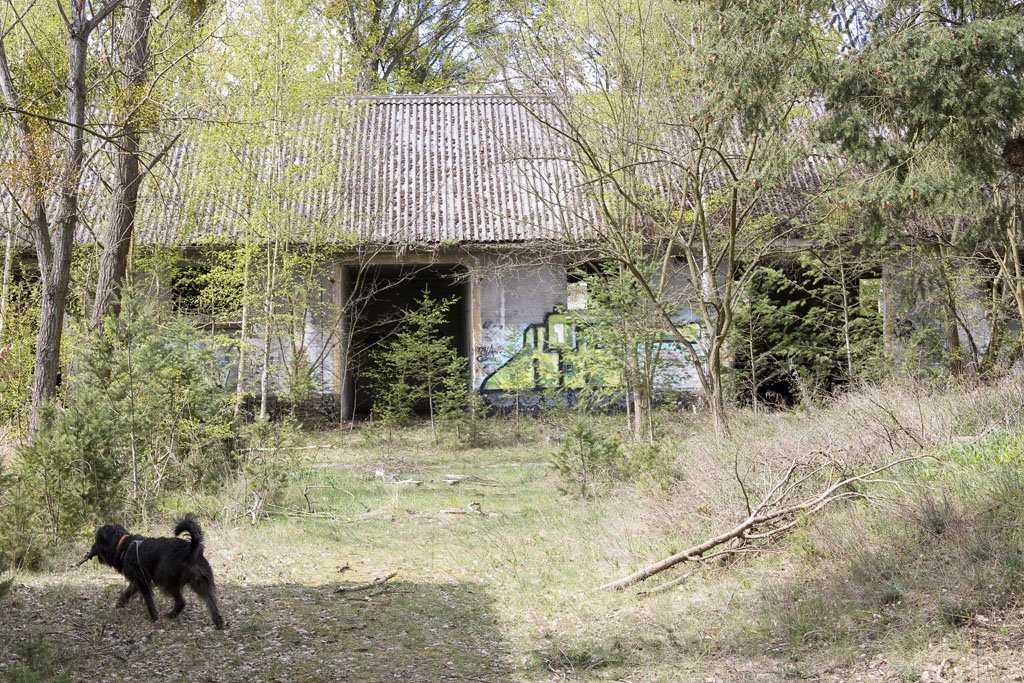 Die Kasernen in Döberitz (2017)