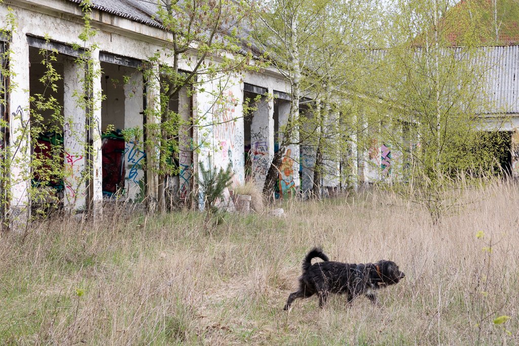 Die Kasernen in Döberitz