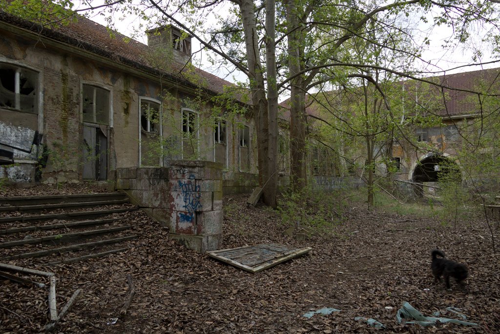 Die Kasernen in Döberitz