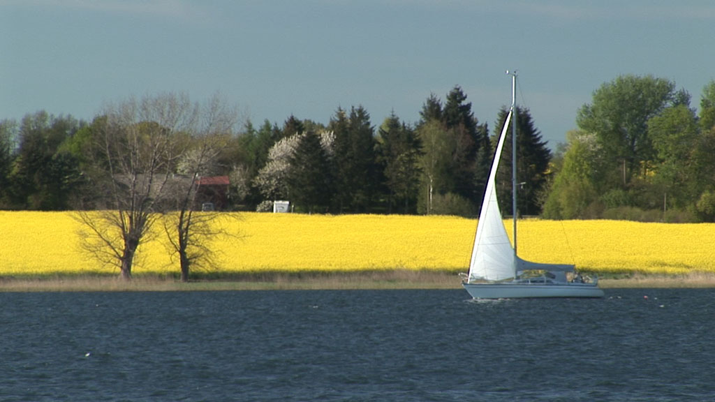 Schlei-Impressionen