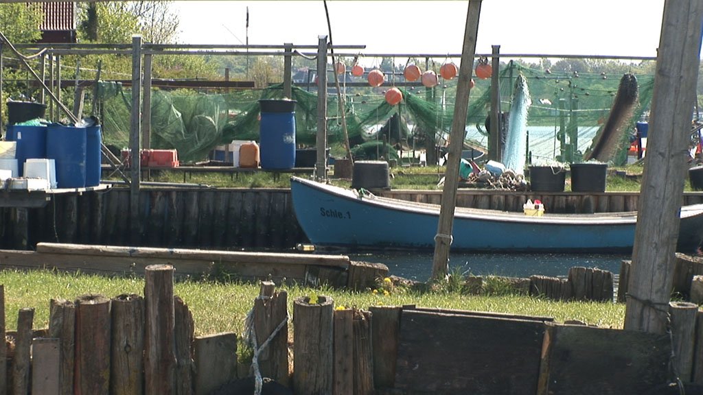 Schlei-Impressionen