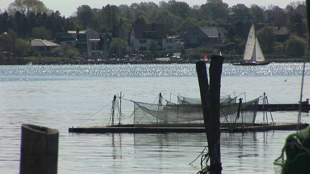 Schlei-Impressionen