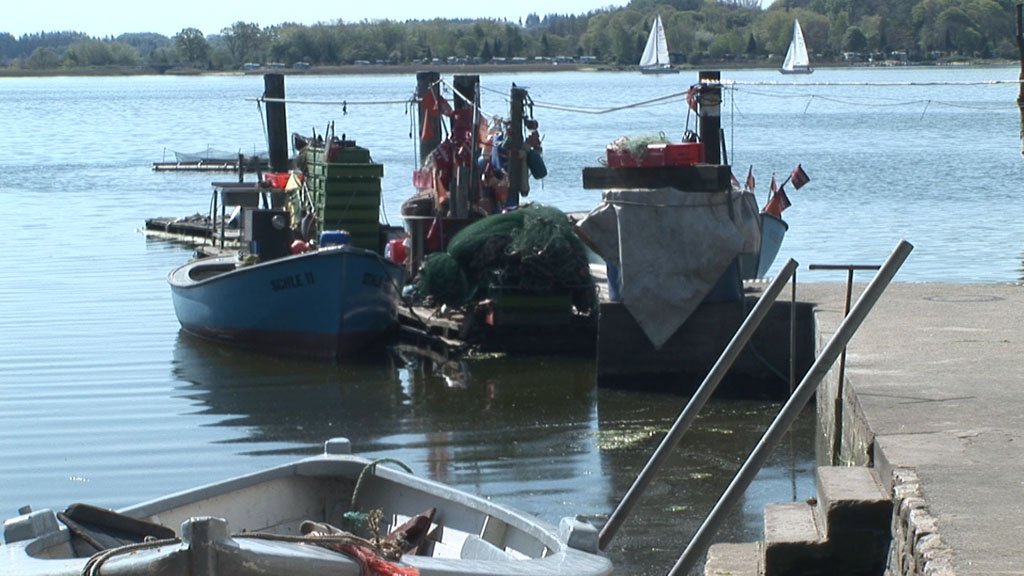 Schlei-Impressionen