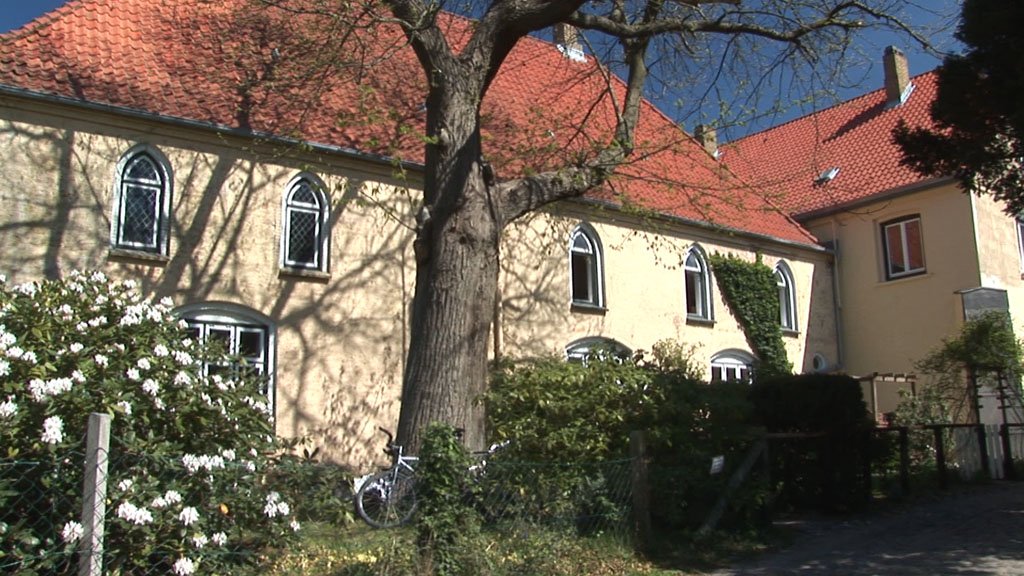 Schlei-Impressionen