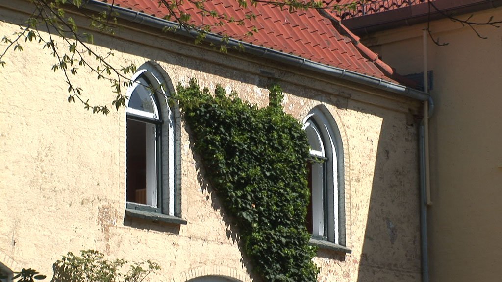 Schlei-Impressionen