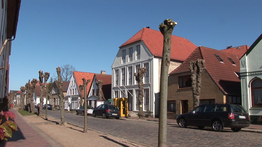 Schlei-Impressionen