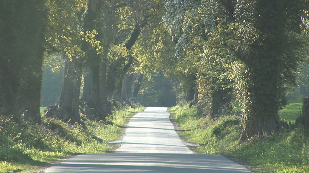 Schlei-Impressionen
