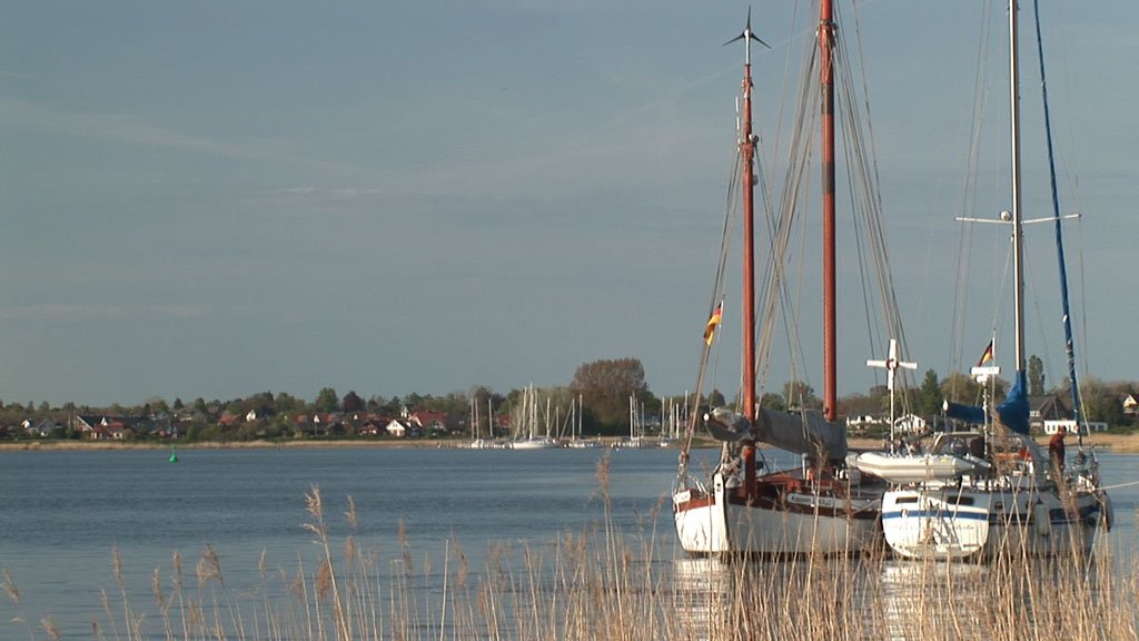 Schlei-Impressionen