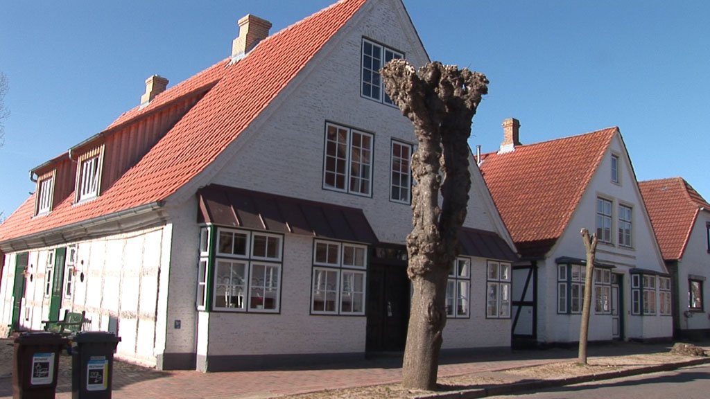 Schlei-Impressionen