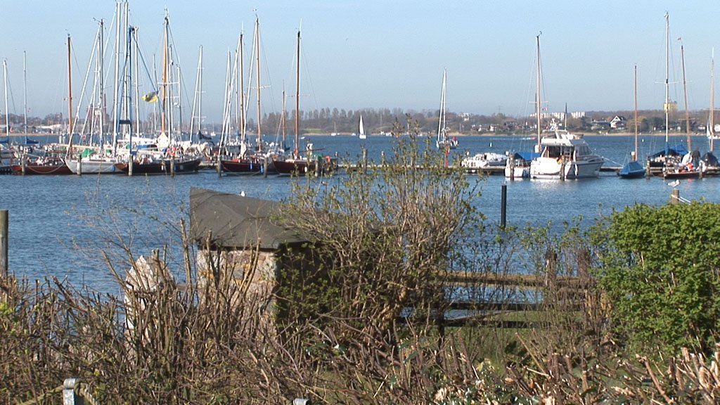 Schlei-Impressionen