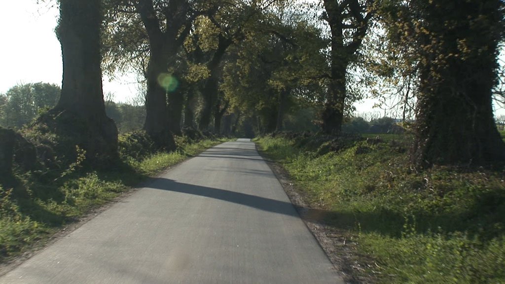 Schlei-Impressionen