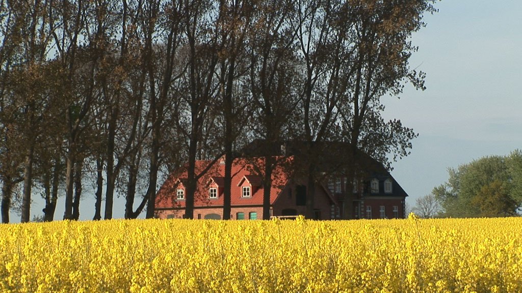 Schlei-Impressionen