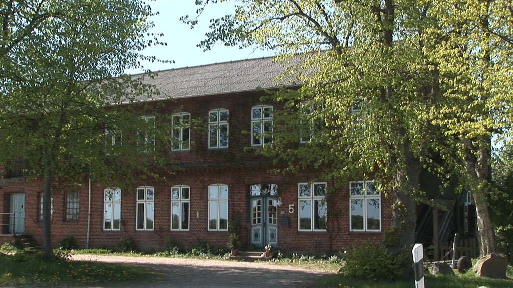Schlei-Impressionen