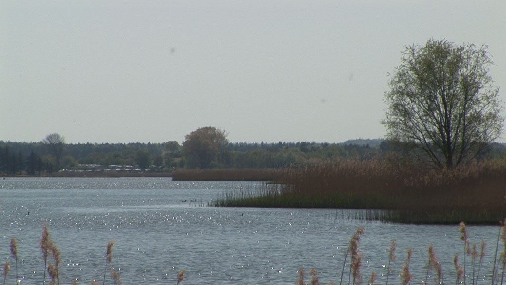 Schlei-Impressionen