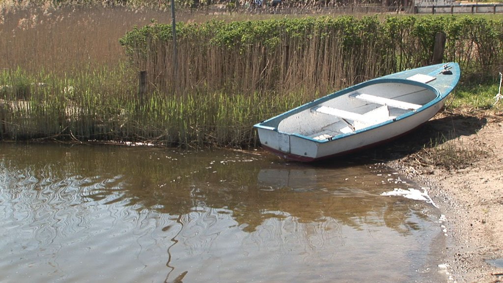 Schlei-Impressionen