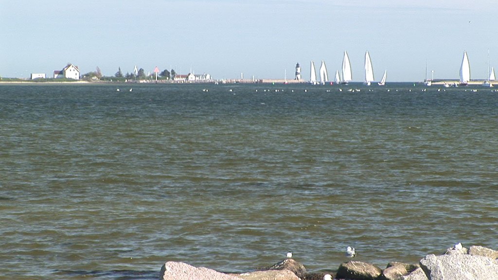 Schlei-Impressionen