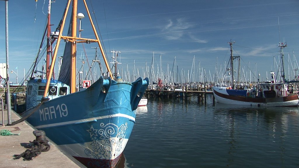 Schlei-Impressionen