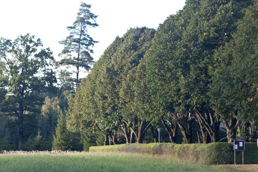 Schweden 2016