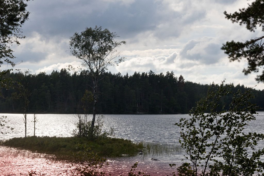 Schweden 2016