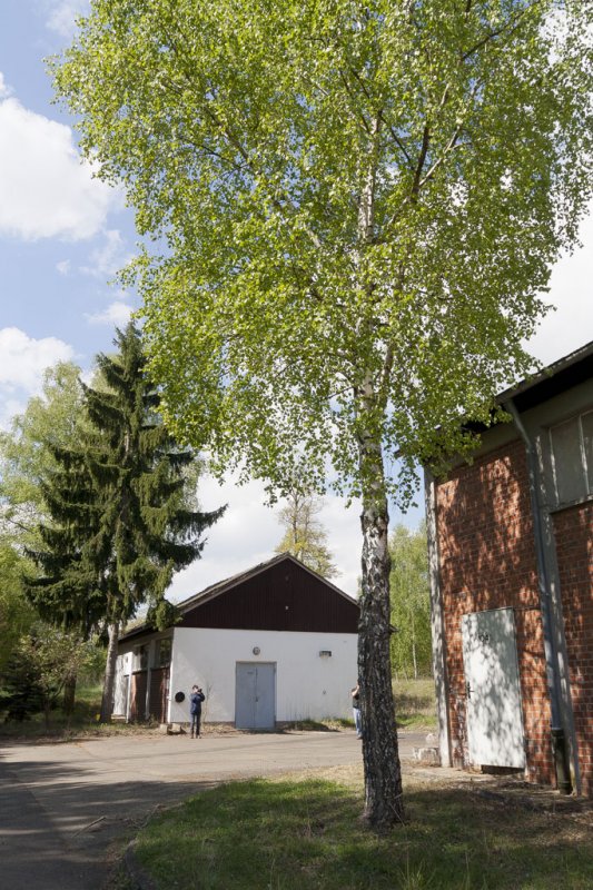 Sonderwaffenlager SAS North Point (Kriegsfeld)