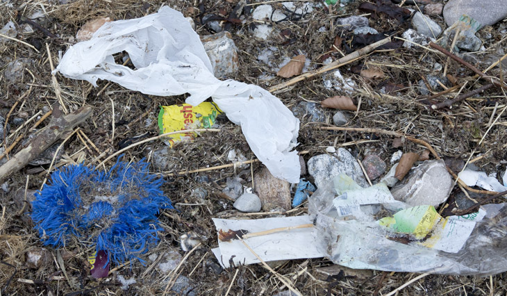 Dreck und Plastikmüll am Weißenhäuser Strand