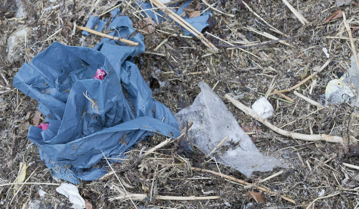 Dreck und Plastikmüll am Weißenhäuser Strand