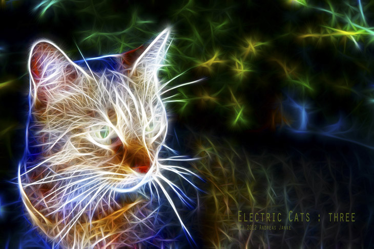 Serie "Electric Cats"