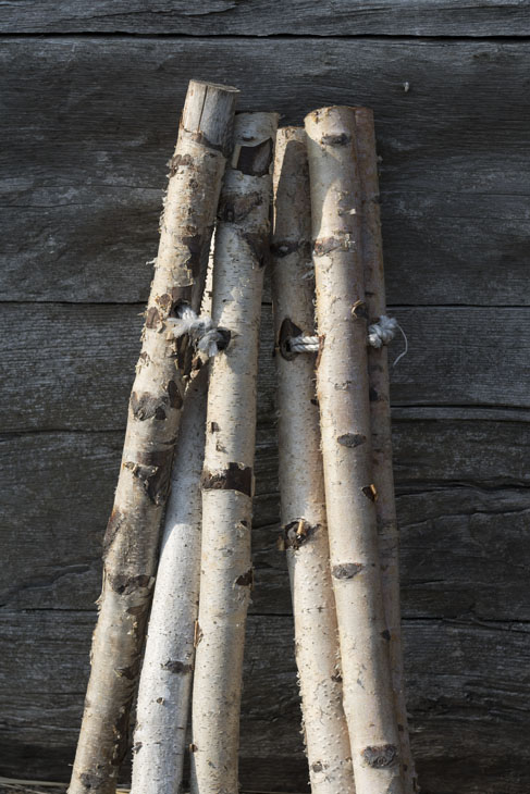 Zusammengebundene Birkenäste gleicher Länge lehnen an der Holzwand