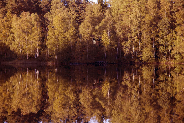 Es wird Herbst an den schwedischen Seen