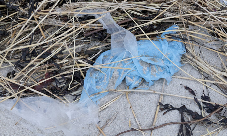 Dreck und Plastikmüll am Weißenhäuser Strand